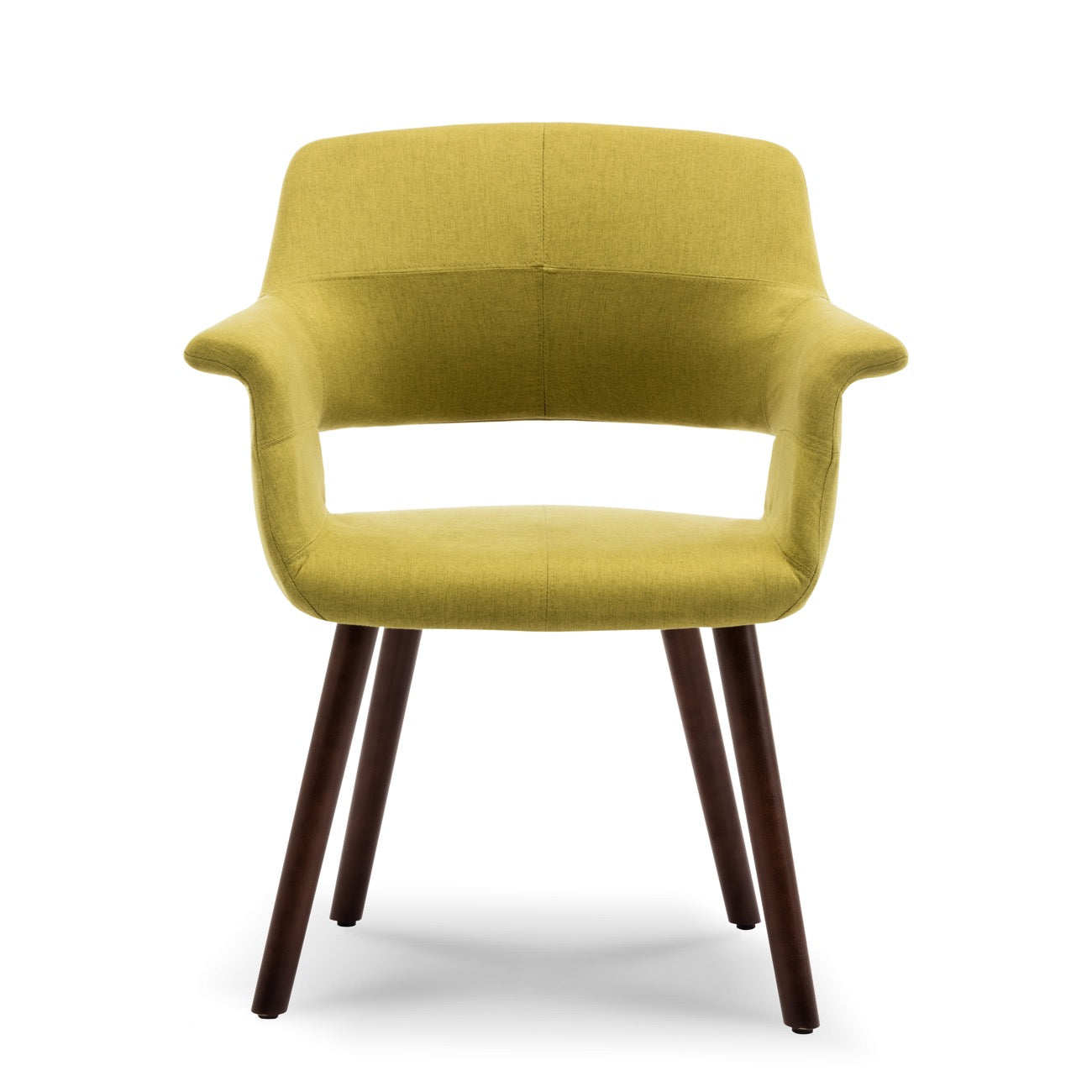 Mid-Century Accent Chair Living Room Modern Padded Armrest