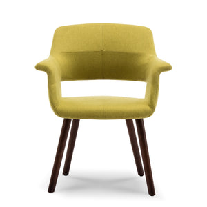 Mid-Century Accent Chair Living Room Modern Padded Armrest