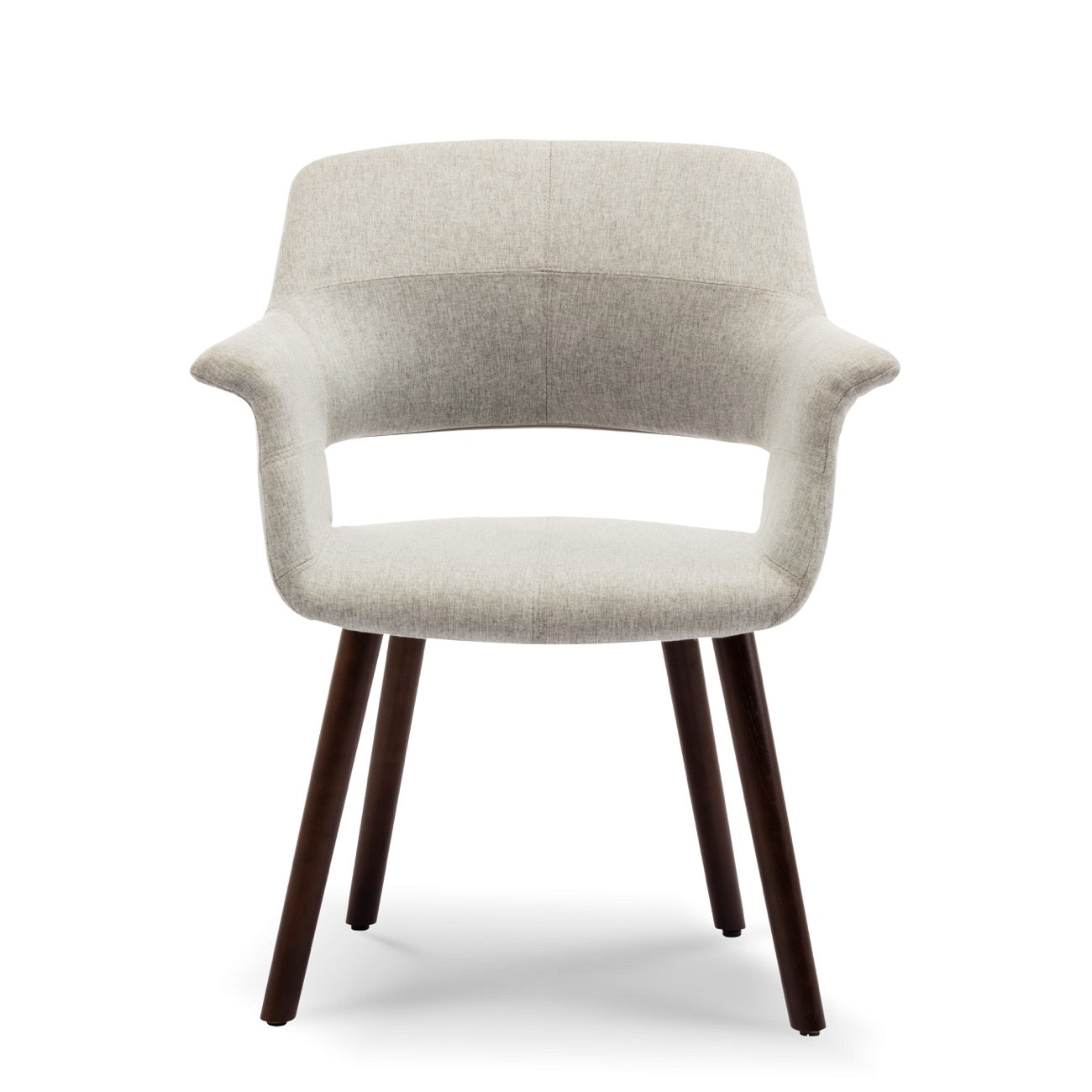 Mid-Century Accent Chair Living Room Modern Padded Armrest