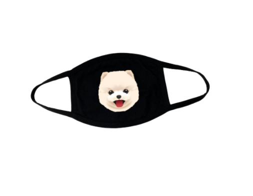 Animal Face Masks