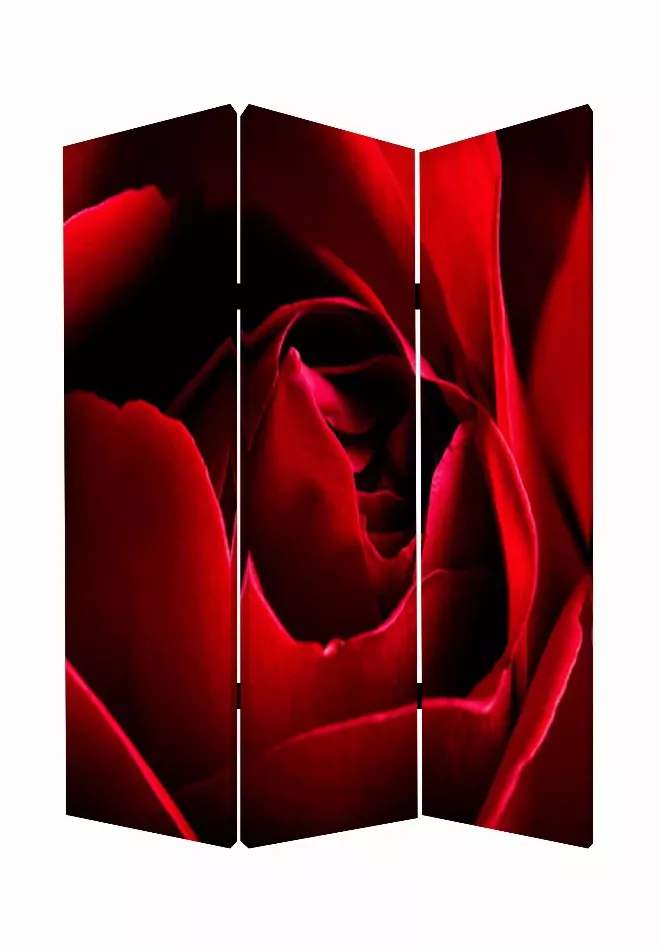 1" x 48" x 72" Multi Color Wood Canvas Rose  Screen