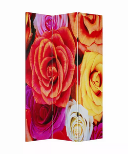 1" x 48" x 72" Multi Color Wood Canvas Daisy And Rose  Screen