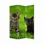 1" x 48" x 72" Multi Color Wood Canvas Curious Cat  Screen