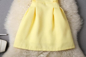 Elegant A-Line Semi Formal Women Sleeveless Dress For Evening Party