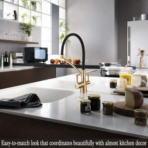 Brushed Gold Kitchen Sink Faucet Pull Out 3 in 1 High Arc Water Filter Purifier