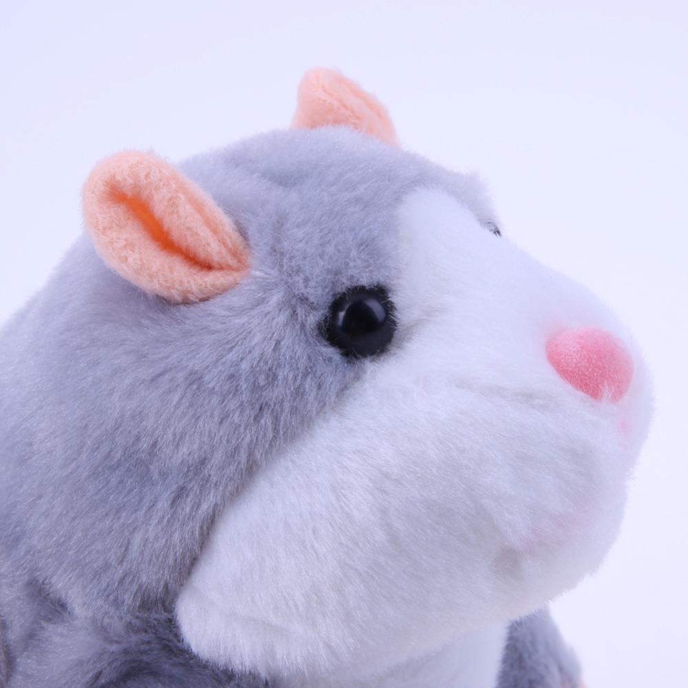 Sassy Hamster