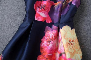 Sleeveless Floral Print A Line Dress